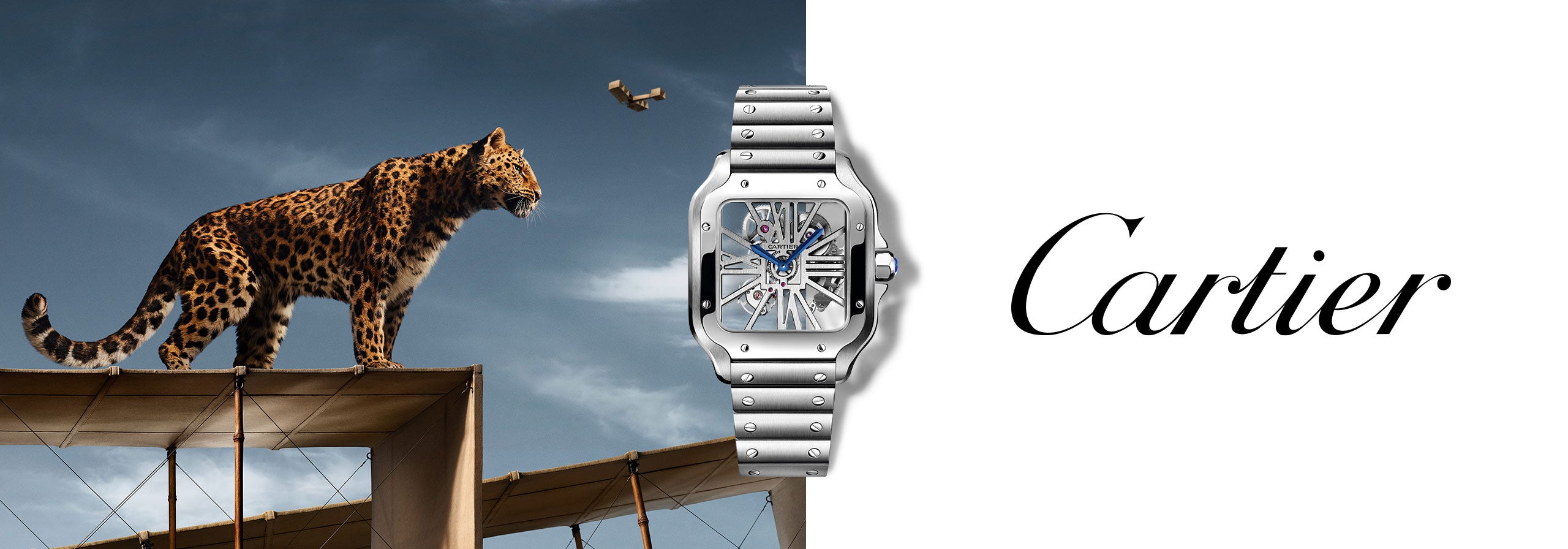 hp-hero-cartier-d2