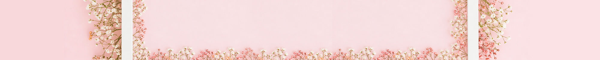 hp-wishedfor-d4-lower