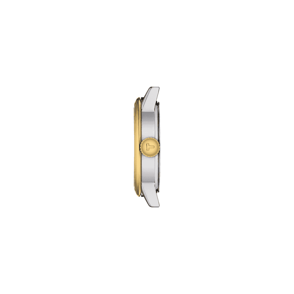 Classic Dream Steel and Yellow Gold PVD Bracelet Watch