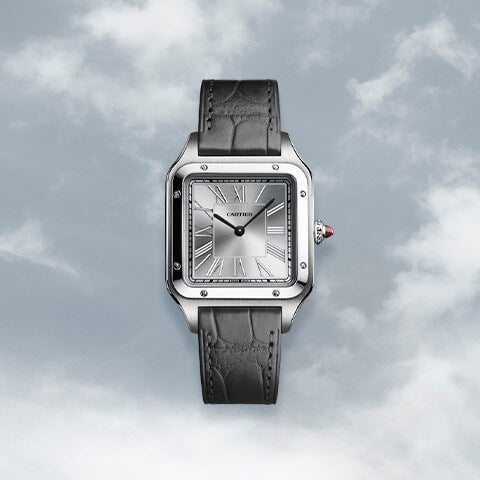 Watches & Wonders 2020: Cartier Releases | Berrys Jewellers