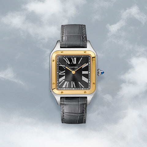 Watches & Wonders 2020: Cartier Releases
