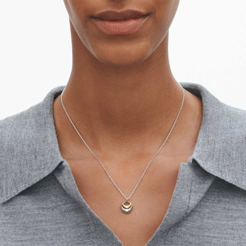 Curve Sterling Silver And 18ct Yellow Gold Necklace