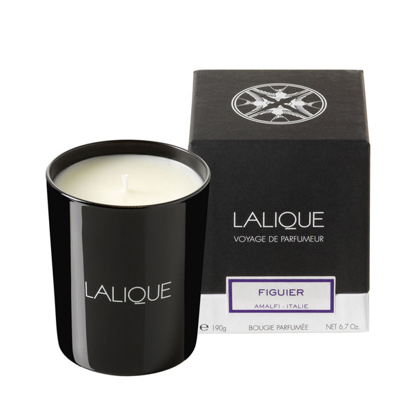 Lalique Fig Tree, Amalfi - Italy Scented Candle - Berry's Jewellers