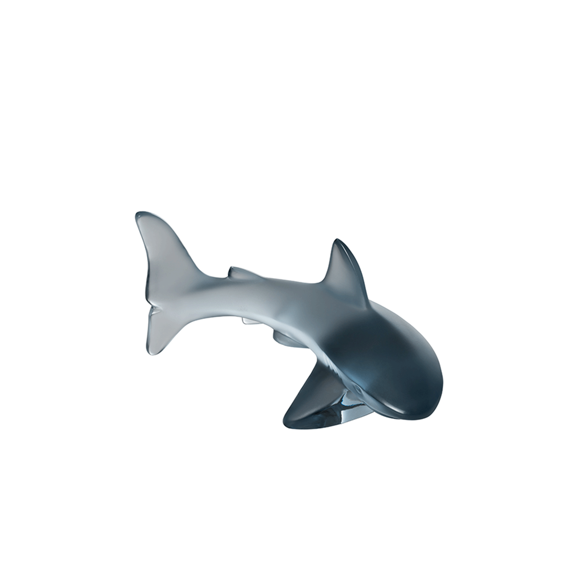 Shark Small Sculpture