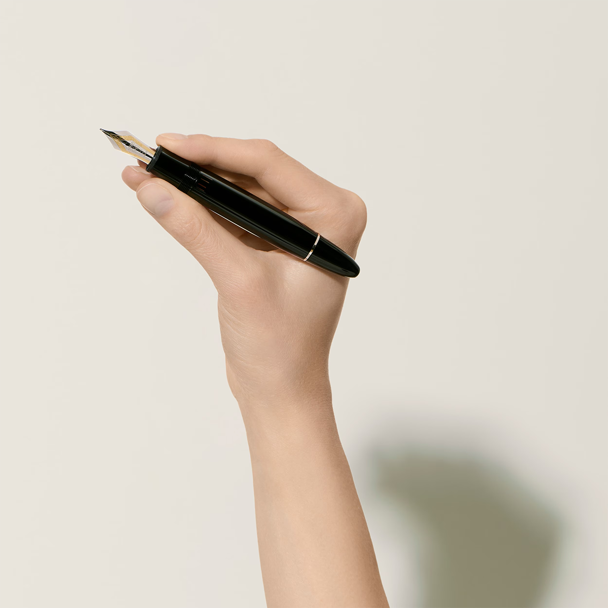 Meisterstück Platinum-Coated 149 Fountain Pen