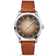 OMEGA Seamaster Railmaster Small Seconds 38mm Brown Dial Strap Watch - Berry's Jewellers