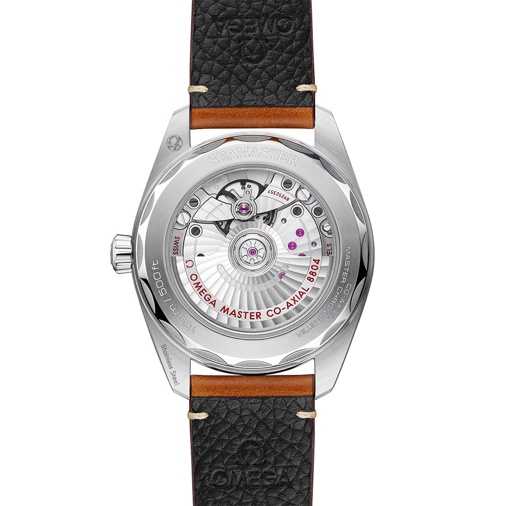 OMEGA Seamaster Railmaster Small Seconds 38mm Brown Dial Strap Watch - Berry's Jewellers