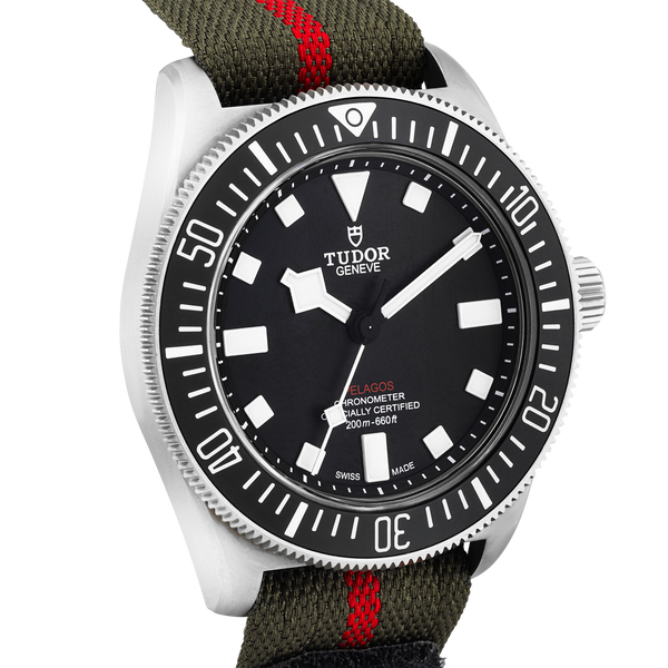 TUDOR Pelagos FXD 42mm Black Dial Titanium Mens Watch (2024)
