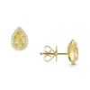 Berry's 18ct Yellow Gold Pear Cut Fancy Yellow Diamond Halo Stud Earrings - Berry's Jewellers