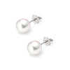 18ct White Gold 5-5.5mm AAA Akoya Pearl Stud Earrings