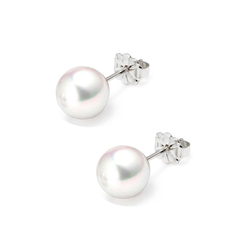 18ct White Gold 5-5.5mm AAA Akoya Pearl Stud Earrings