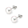 18ct White Gold 6.5-7mm AAA Akoya Pearl Stud Earrings
