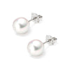 18ct White Gold 7-7.5mm AAA Akoya Pearl Stud Earrings