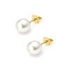 18ct Yellow Gold 5-5.5mm AAA Akoya Pearl Stud Earrings