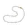 5-5.5mm AAA Akoya Pearl Necklace with 18ct Yellow Gold Clasp