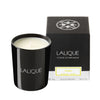 Lalique Yuzu, Shikoku - Japan Scented Candle - Berry's Jewellers