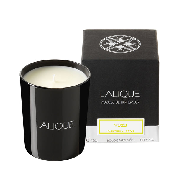 Lalique Yuzu, Shikoku - Japan Scented Candle - Berry's Jewellers