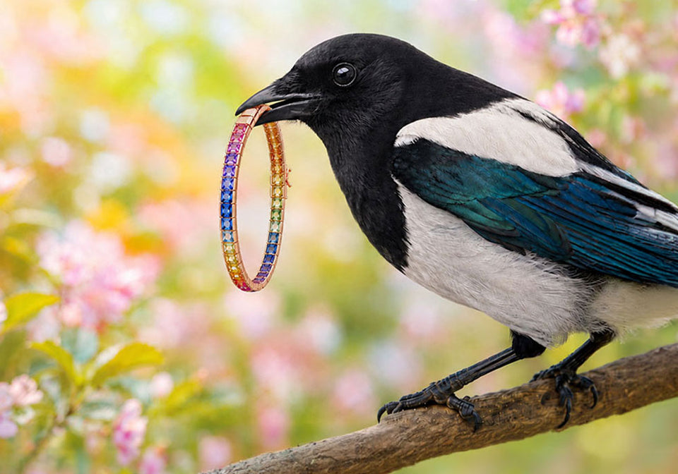 MAGPIE-RESIZE-FOR-NOW_64c28981-e04b-4a02-8fff-a650636ecfbc