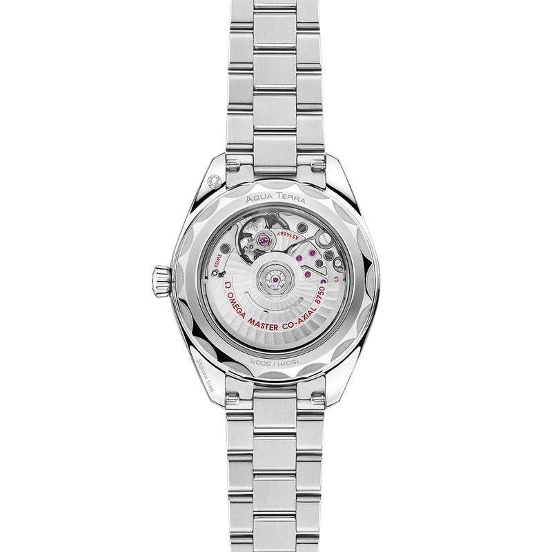 Seamaster Aqua Terra 30mm White Mother of Pearl Diamond Dial Watch