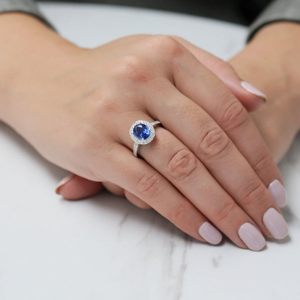 Berry's Platinum Oval Sapphire And Diamond Grain Set Halo Cluster Ring With Diamond Shoulders - Berry's Jewellers