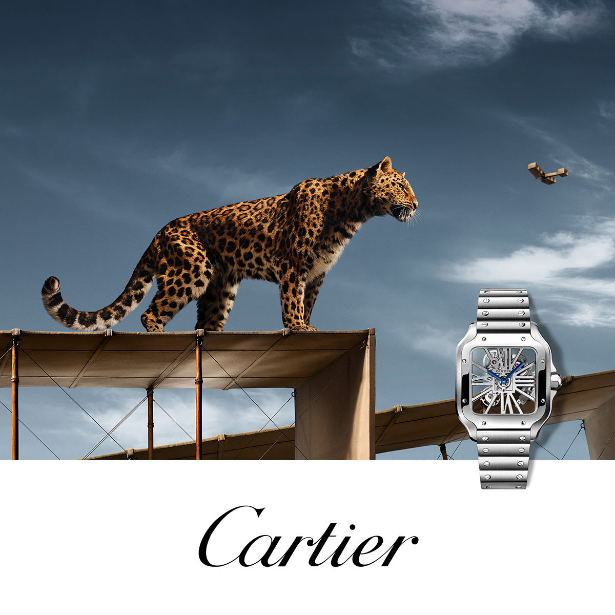 blp-cartier-m