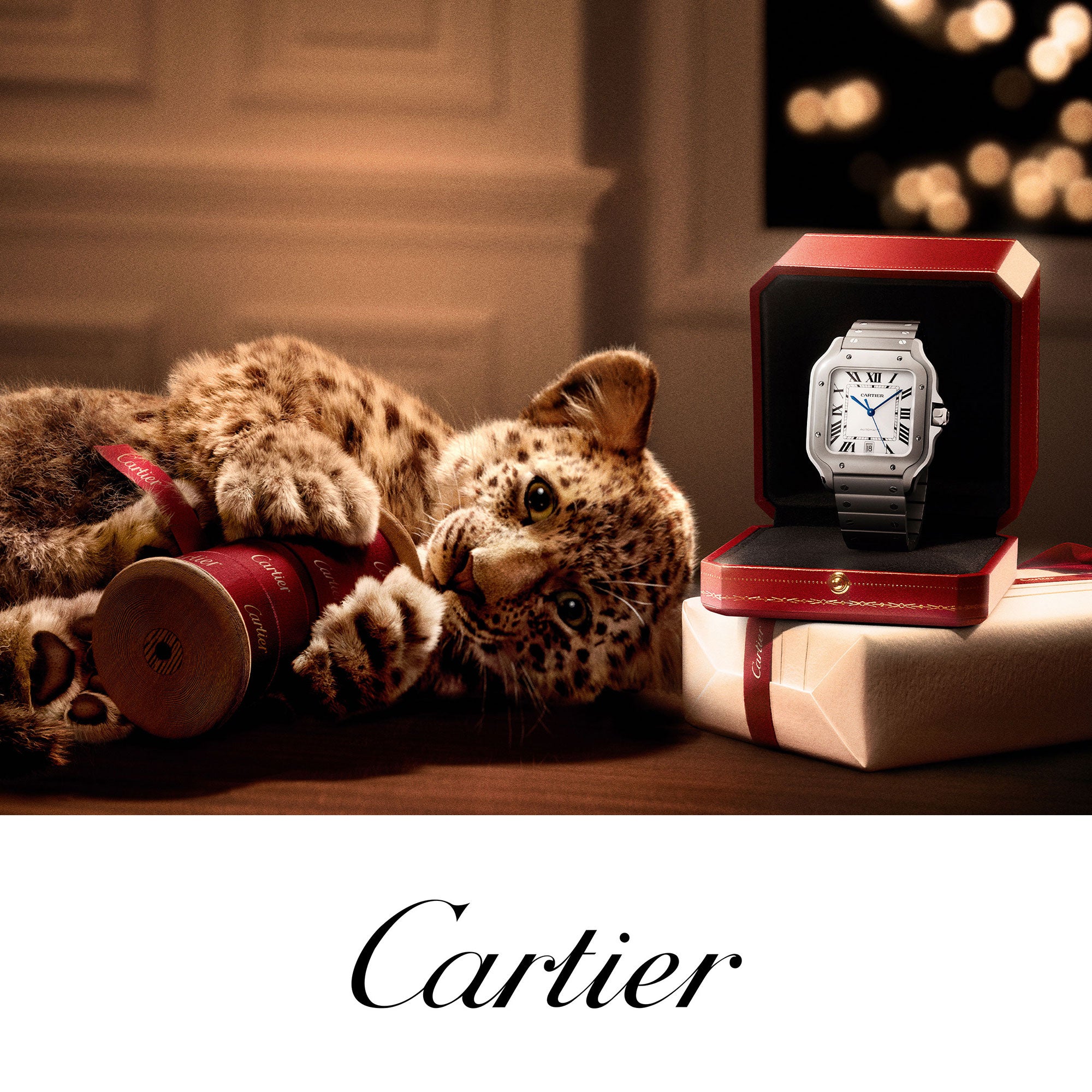 blp-cartier-m