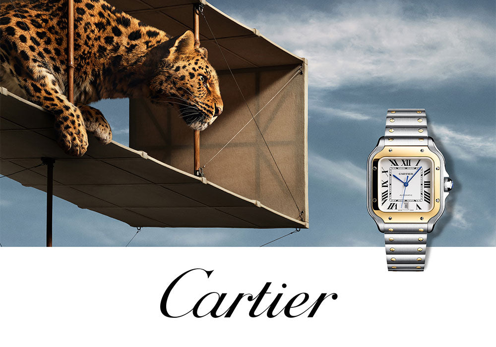 hp-hero-cartier-m_8d13b4f0-6dbd-4646-a1a8-31938dcb2de0