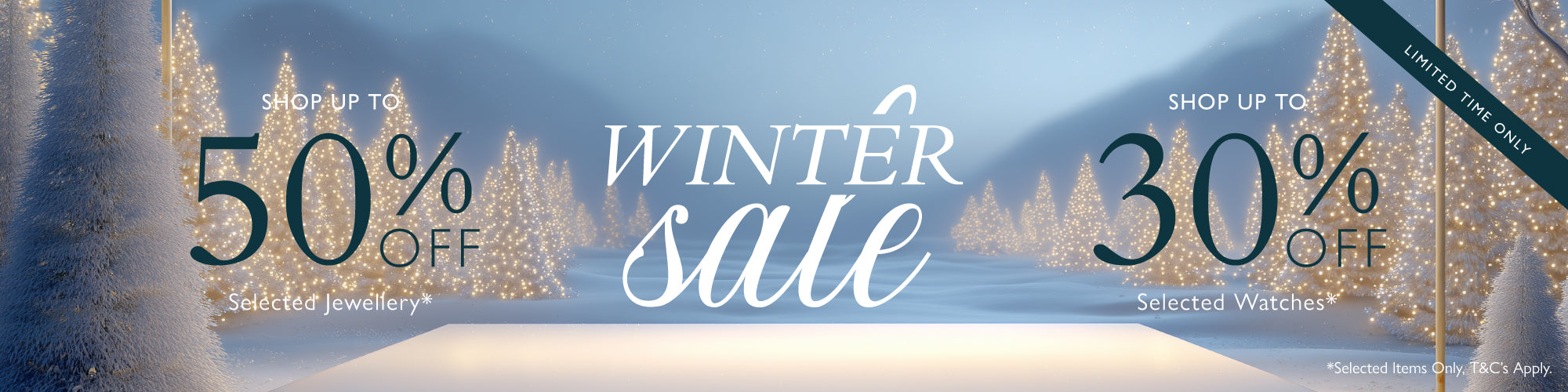 hp-hero-wintersale-dv2