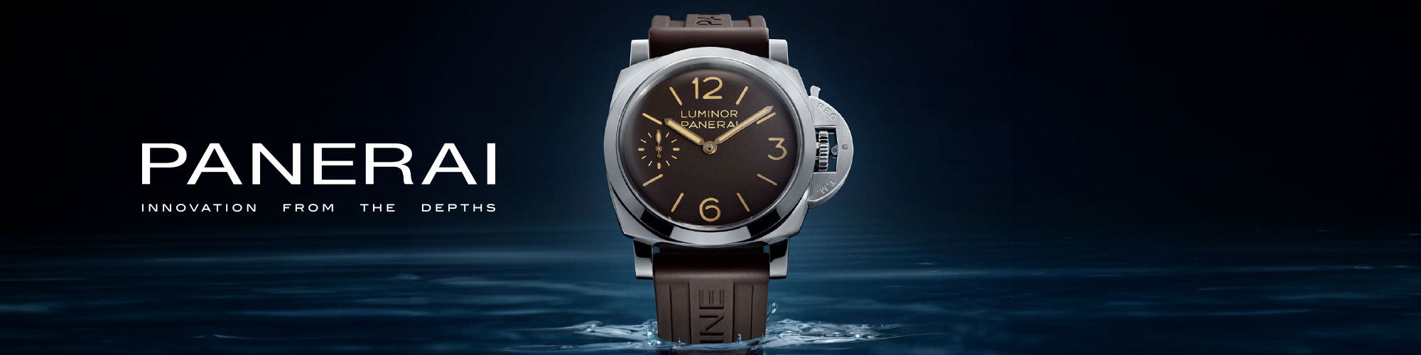 info-servicing-panerai-d