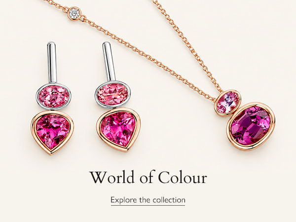 Explore Berry's World of Colour