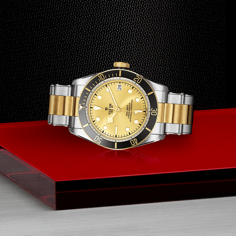 TUDOR Black Bay S&G 41mm Champagne Dial Automatic Men's Bracelet Watch - Berry's Jewellers