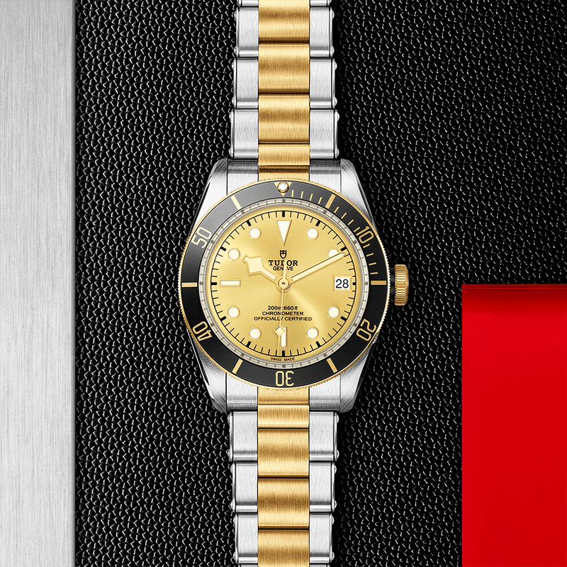 TUDOR Black Bay S&G 41mm Champagne Dial Automatic Men's Bracelet Watch - Berry's Jewellers