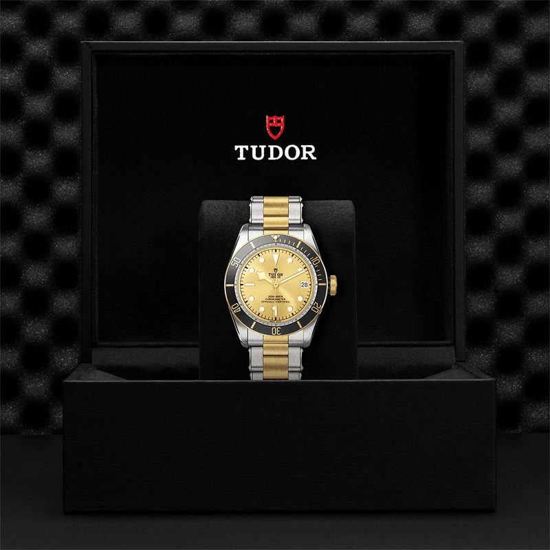 TUDOR Black Bay S&G 41mm Champagne Dial Automatic Men's Bracelet Watch - Berry's Jewellers