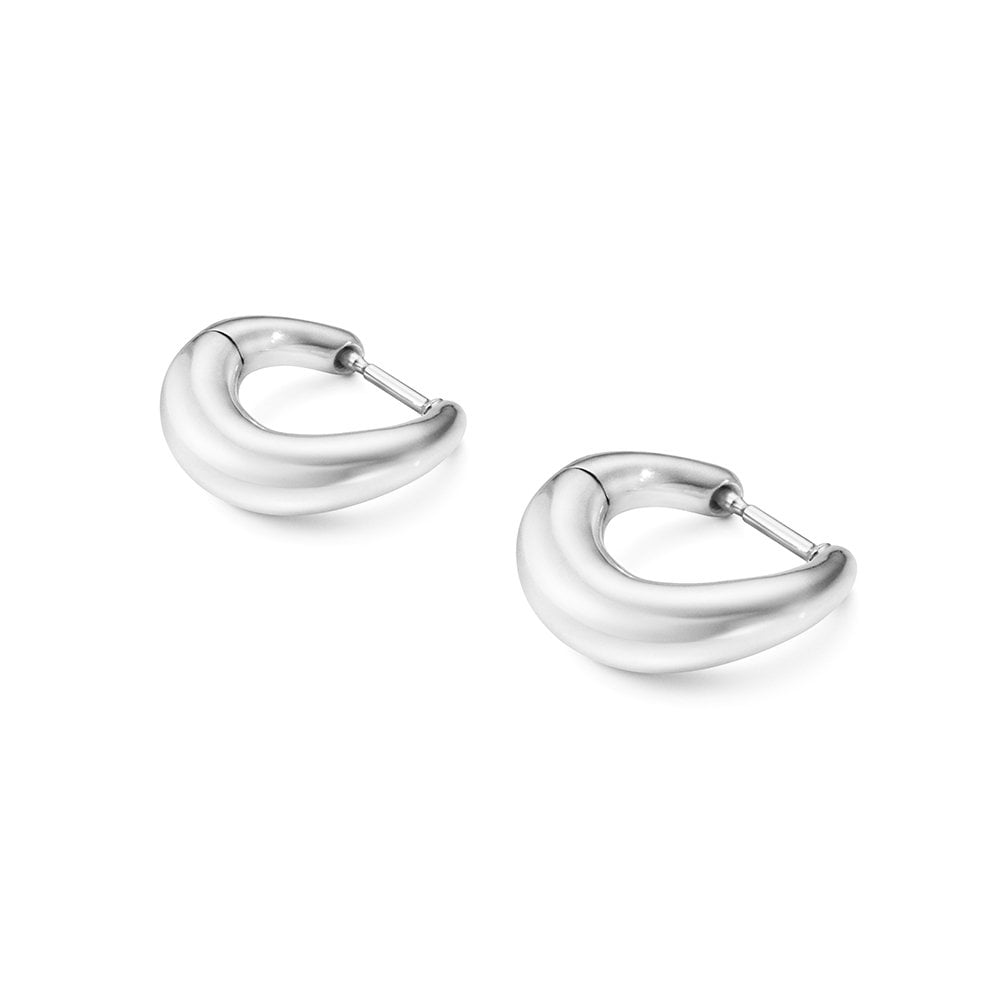 Offspring Small Sterling Silver Earhoops