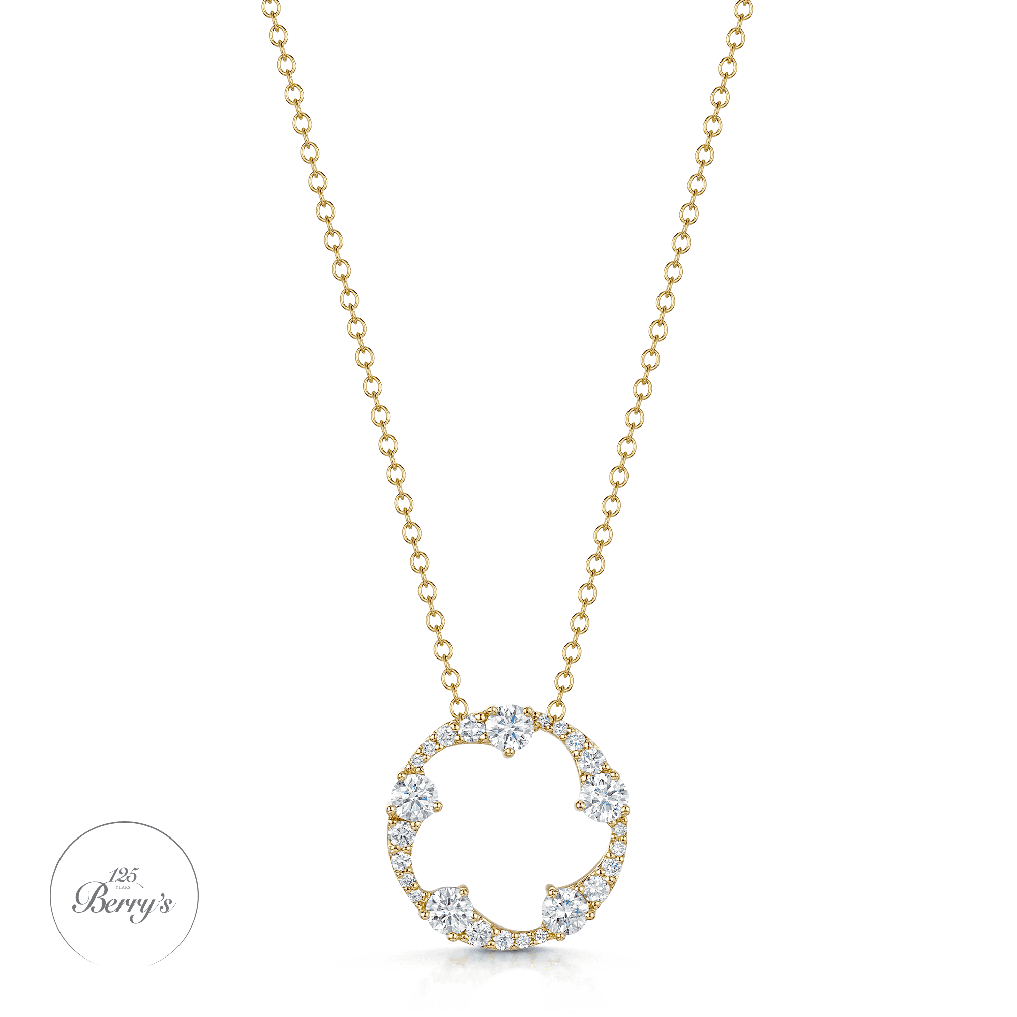 OPEIA Collection 18ct Yellow Gold Diamond Fancy Circle Pendant With Chain